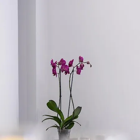 Apartament Adell Deluxe